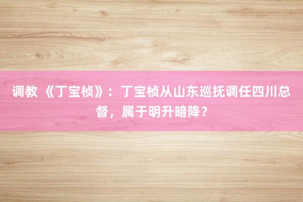 调教 《丁宝桢》：丁宝桢从山东巡抚调任四川总督，属于明升暗降？