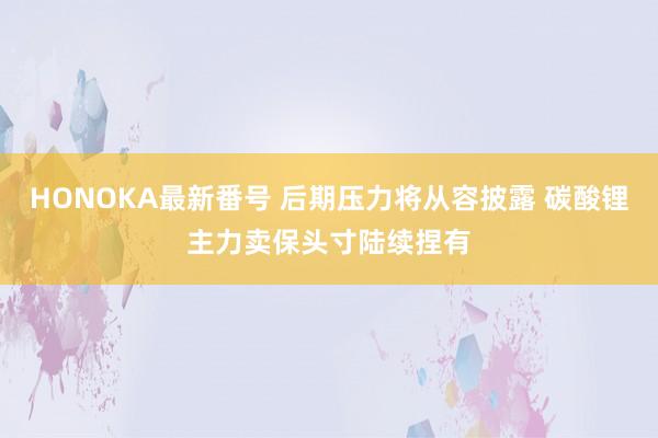 HONOKA最新番号 后期压力将从容披露 碳酸锂主力卖保头寸陆续捏有
