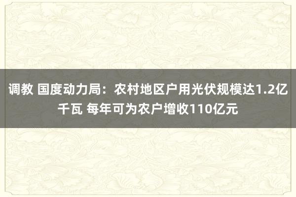 调教 国度动力局：农村地区户用光伏规模达1.2亿千瓦 每年可为农户增收110亿元