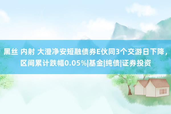 黑丝 内射 大澄净安短融债券E伙同3个交游日下降，区间累计跌幅0.05%|基金|纯债|证券投资