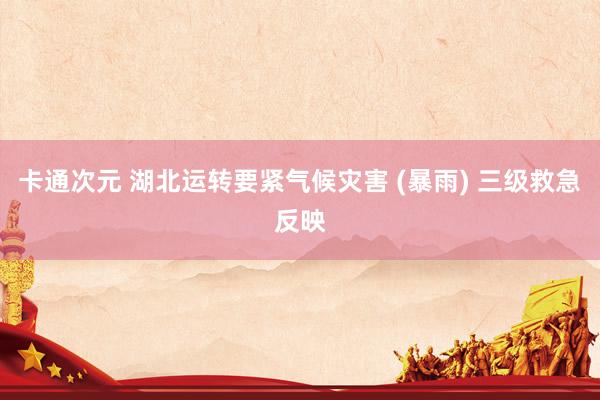 卡通次元 湖北运转要紧气候灾害 (暴雨) 三级救急反映