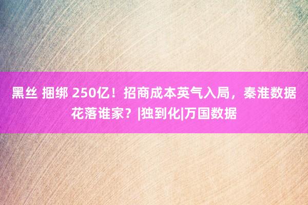 黑丝 捆绑 250亿！招商成本英气入局，秦淮数据花落谁家？|独到化|万国数据