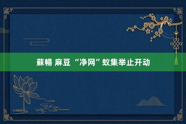 蘇暢 麻豆 “净网”蚁集举止开动