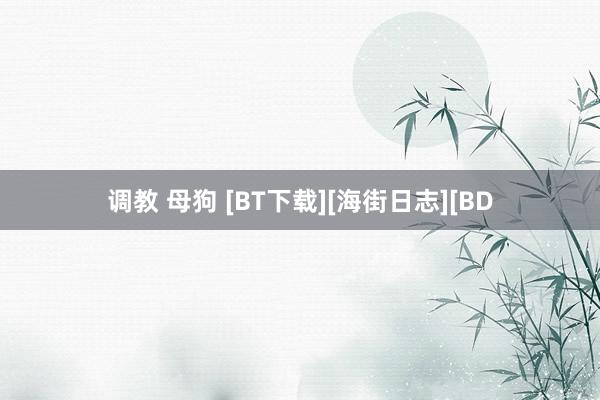 调教 母狗 [BT下载][海街日志][BD