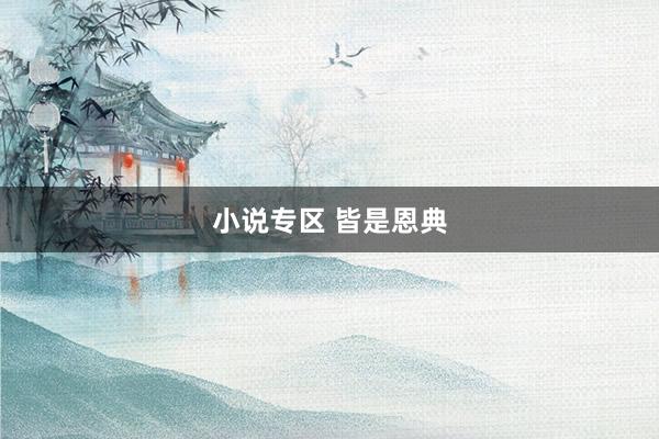 小说专区 皆是恩典