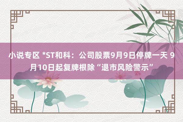 小说专区 *ST和科：公司股票9月9日停牌一天 9月10日起复牌根除“退市风险警示”