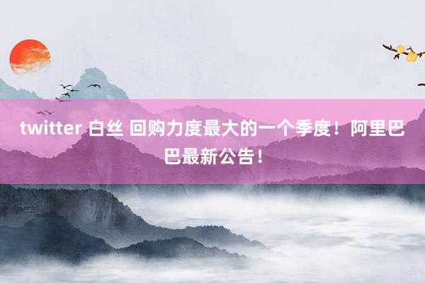 twitter 白丝 回购力度最大的一个季度！阿里巴巴最新公告！