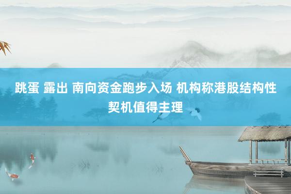 跳蛋 露出 南向资金跑步入场 机构称港股结构性契机值得主理