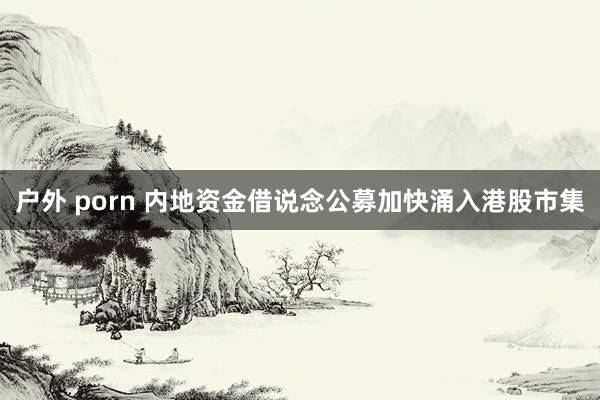 户外 porn 内地资金借说念公募加快涌入港股市集