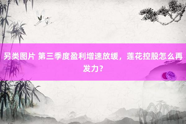 另类图片 第三季度盈利增速放缓，莲花控股怎么再发力？