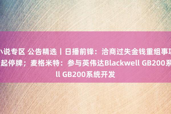小说专区 公告精选丨日播前锋：洽商过失金钱重组事项 股票明起停牌；麦格米特：参与英伟达Blackwell GB200系统开发