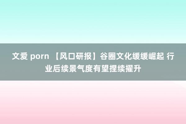 文爱 porn 【风口研报】谷圈文化缓缓崛起 行业后续景气度有望捏续擢升