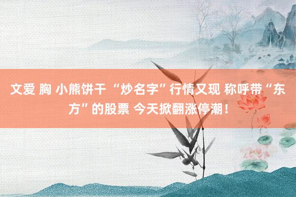 文爱 胸 小熊饼干 “炒名字”行情又现 称呼带“东方”的股票 今天掀翻涨停潮！
