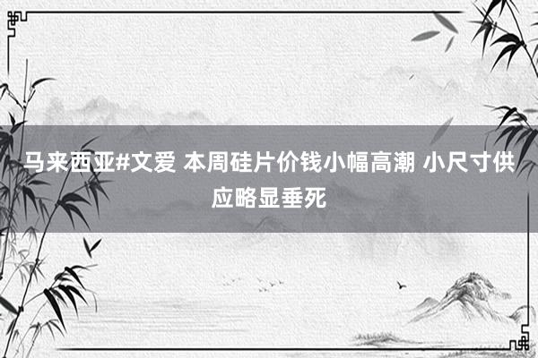 马来西亚#文爱 本周硅片价钱小幅高潮 小尺寸供应略显垂死