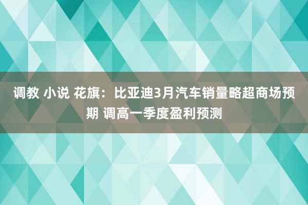 调教 小说 花旗：比亚迪3月汽车销量略超商场预期 调高一季度盈利预测